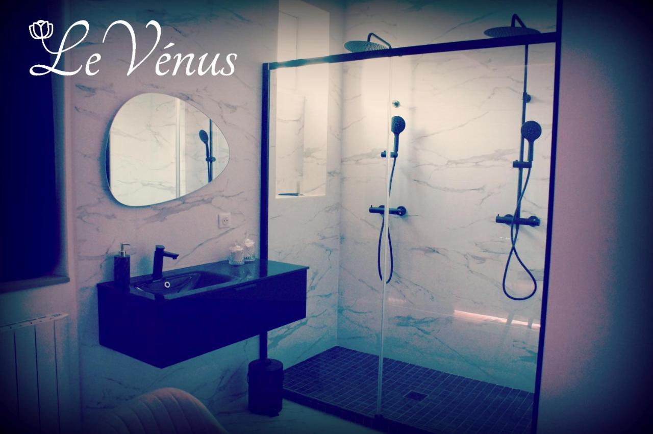 Le Venus - Appartement Spa Privatif Balneo Sauna Dijon Exteriér fotografie
